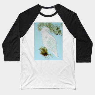 Bdelloid rotifer under the microscope Baseball T-Shirt